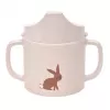 Barva rabbit