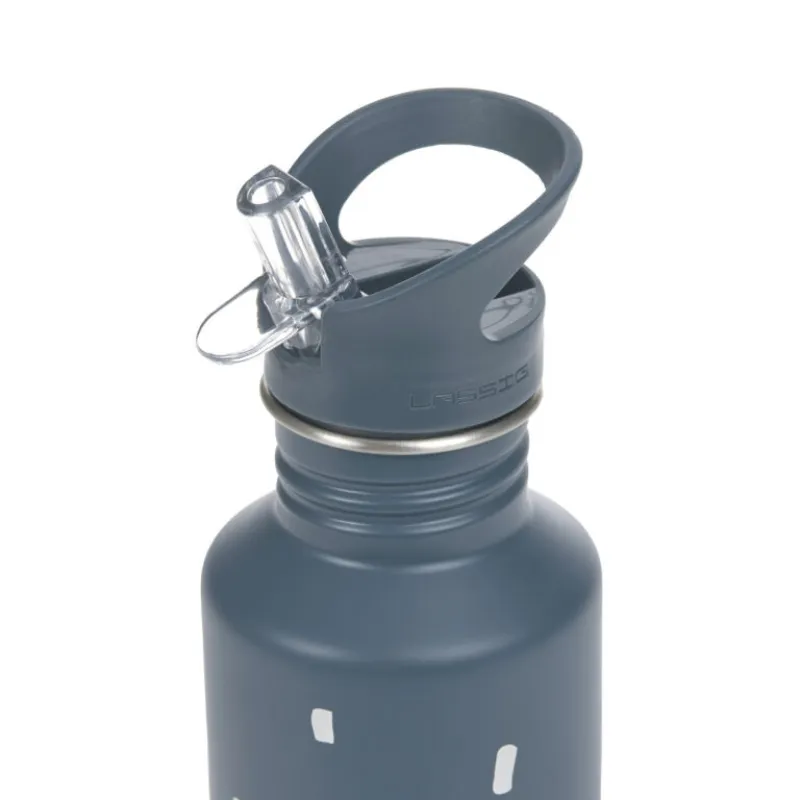 Lässig Bottle Stainless Steel Happy Prints